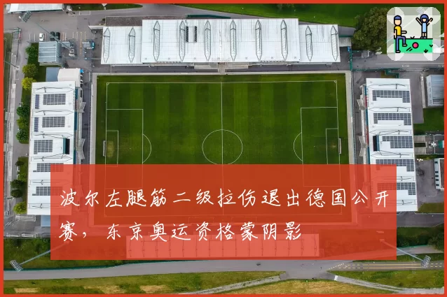 波尔左腿筋二级拉伤退出德国公开赛,东京奥运资格蒙阴影