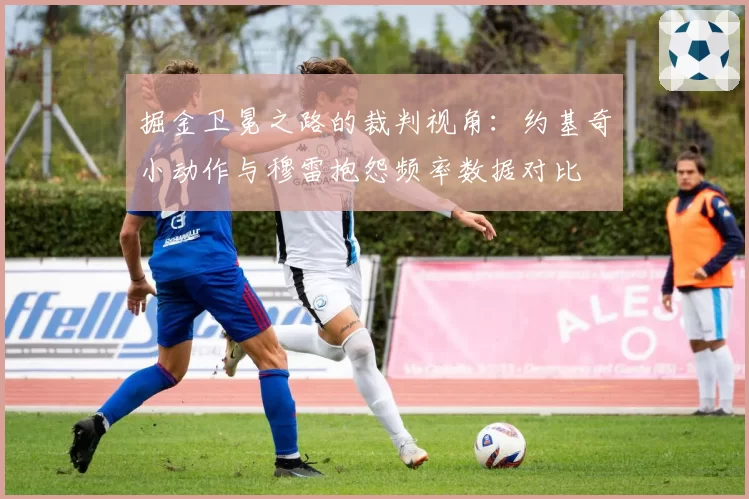 掘金卫冕之路的裁判视角：约基奇小动作与穆雷抱怨频率数据对比